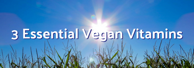 3 Essential Vegan Vitamins