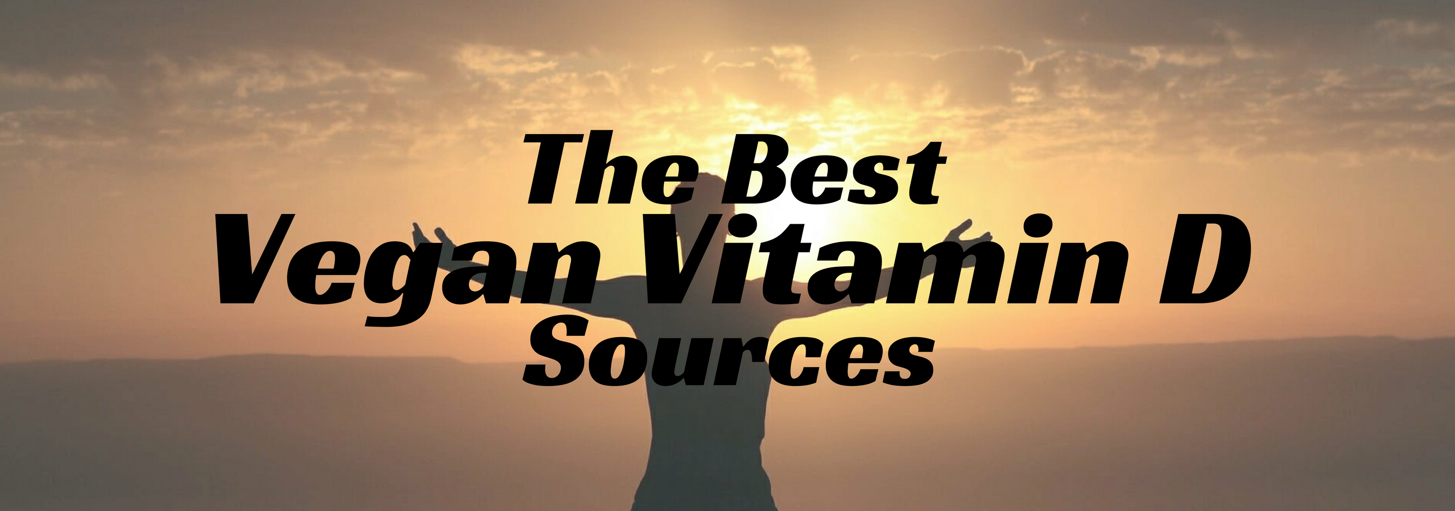 The Best Vegan Vitamin D Sources Vegan Supplement Store