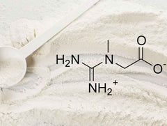How Creatine Is Made: The Truth About Its Production and Origins